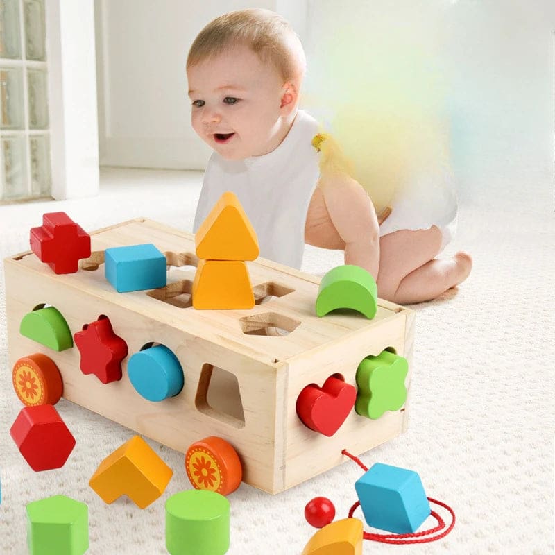 Wholesale Wooden Shape Matching Game Educational Toy for Kids 17-Hole Geometry Shape Matching and Color Recognition Dropshipping - Image 5