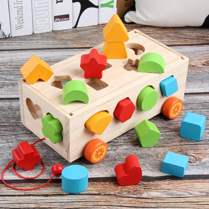 Wholesale Wooden Shape Matching Game Educational Toy for Kids 17-Hole Geometry Shape Matching and Color Recognition Dropshipping - Image 3
